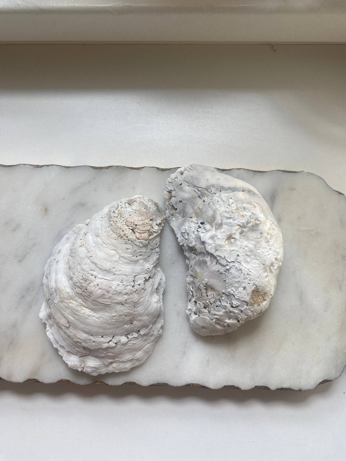 Blue Bird Oyster Shell Jewelry Dish