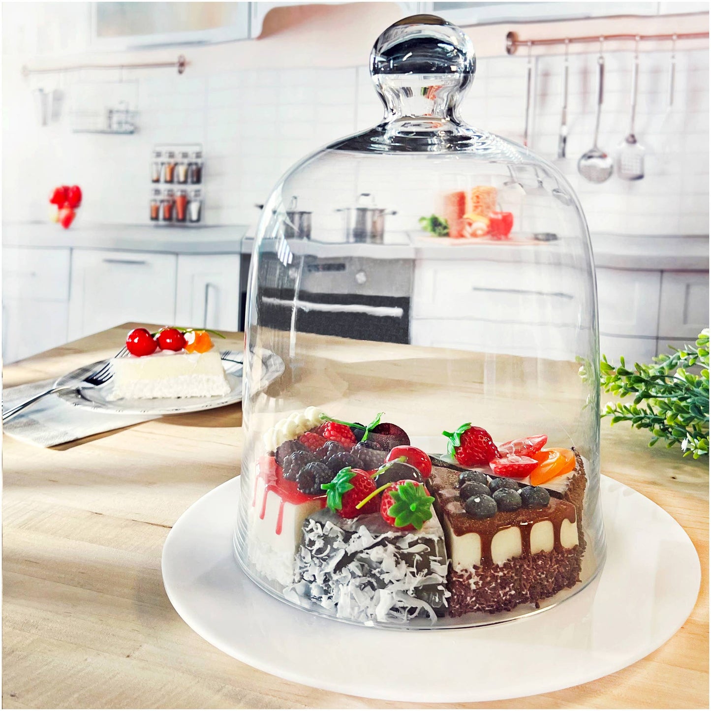 Bell Jar Glass Display Dome Cloche 8.5" x 11"