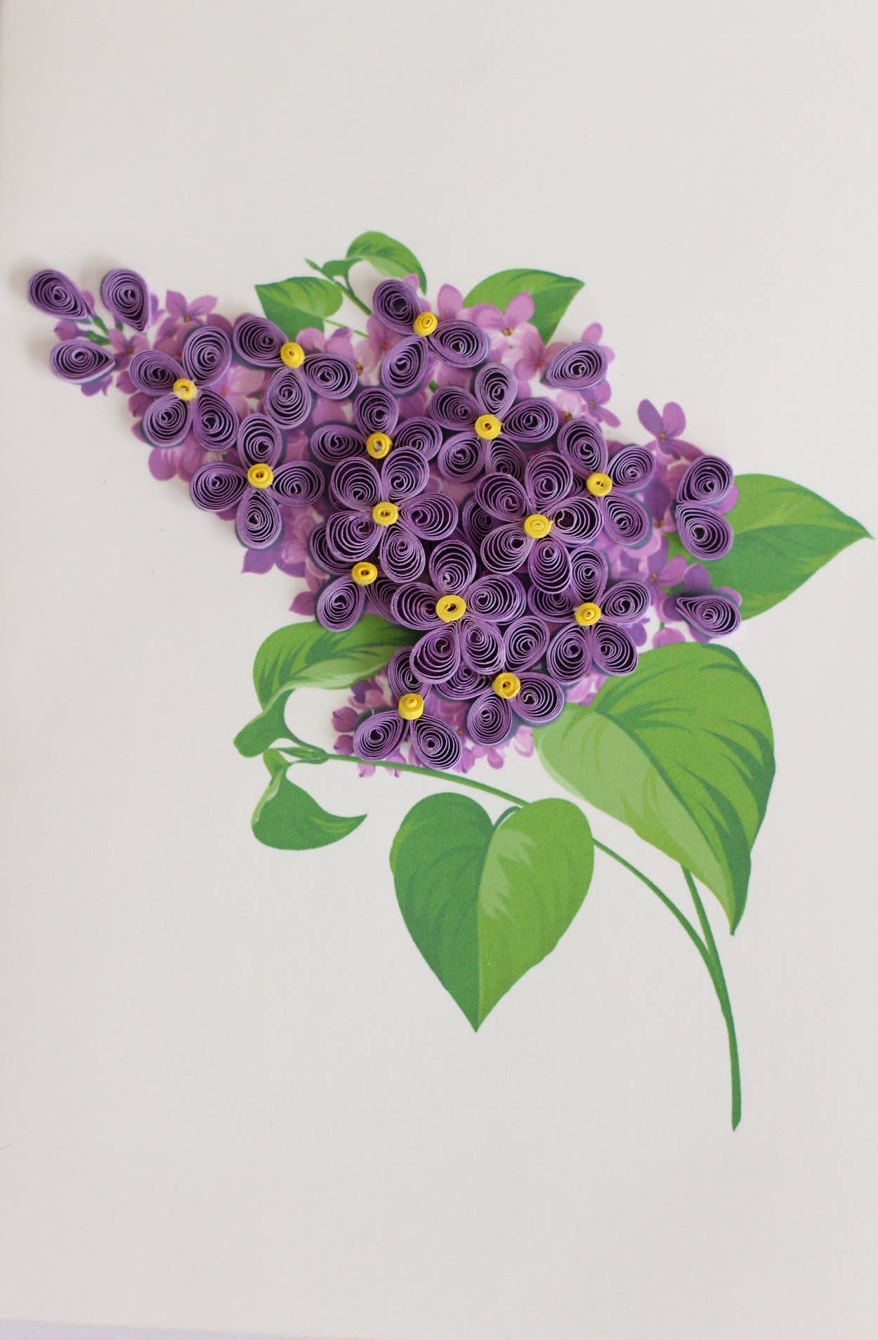 Lilacs