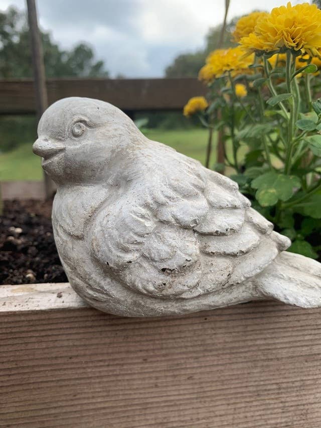 Sitting Cement Bird Statue 1