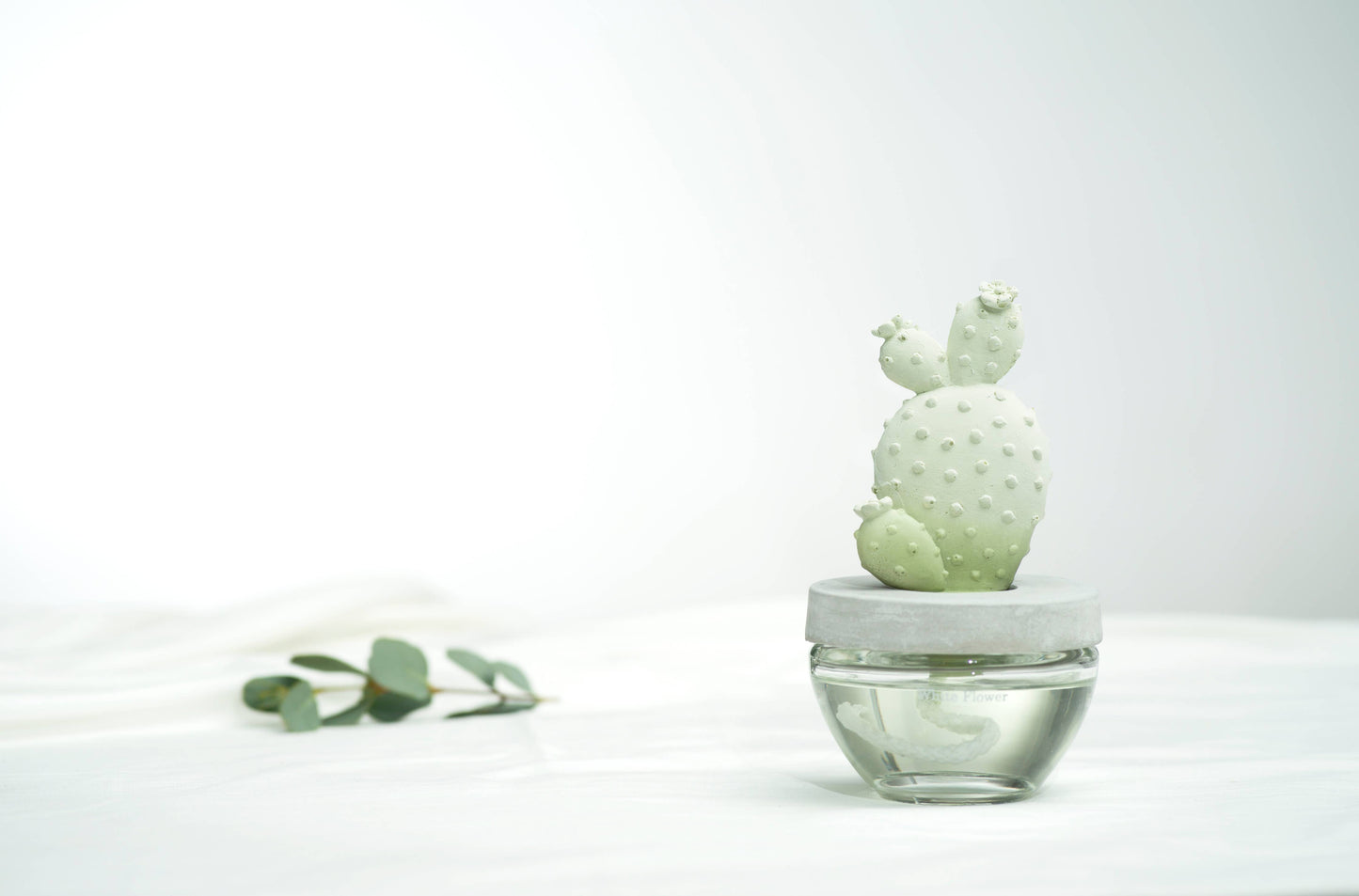 Bunny Ear Cactus ceramic diffuser gift set - 100ml