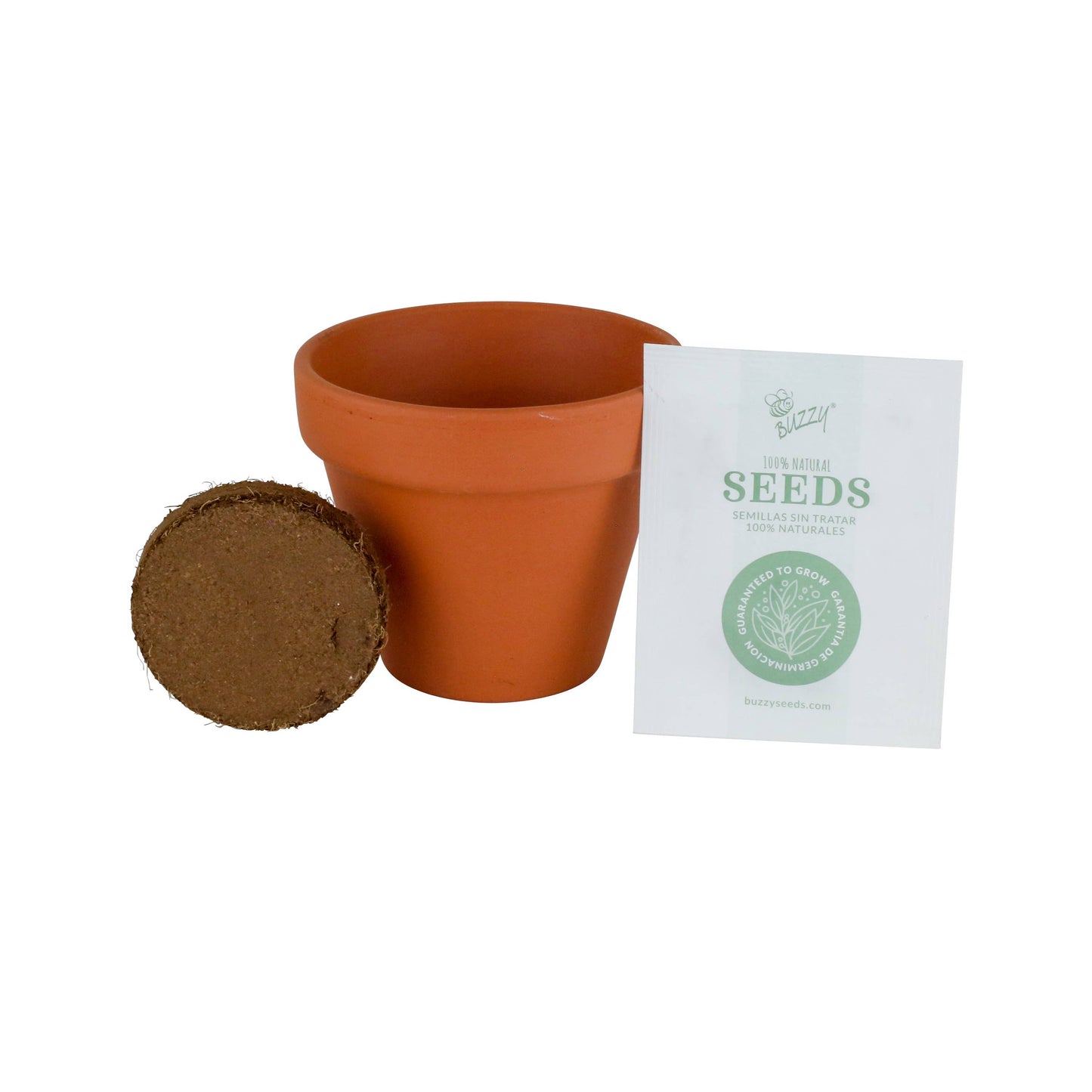 Buzzy Seeds Classic 7cm Terra Cotta Grow Kit -Sunflower