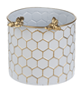 White & Gold Honeycomb Planter with Bee - Large