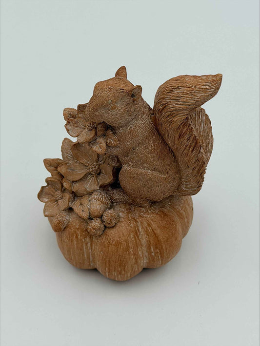 Squirrel on a Pumpkin