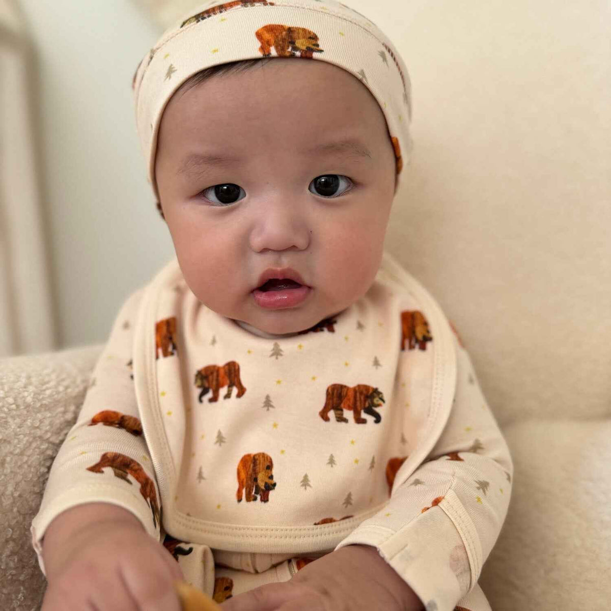 Organic Reversible Baby Bib, Brown Bear Print