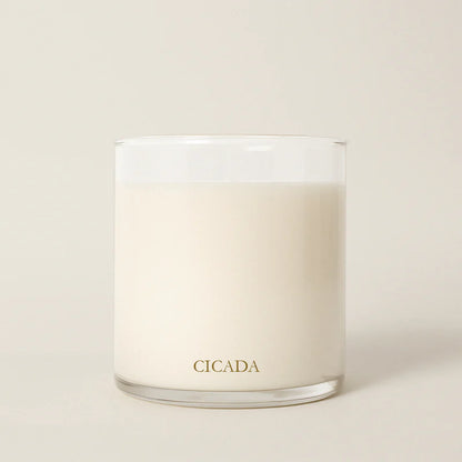 The Scent of The Ancient Plateau