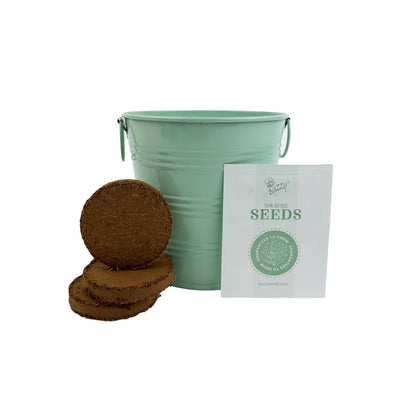 Grow Pail - Lavender Grow Kit