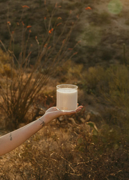 The Scent of Summer Storms Desert Rain