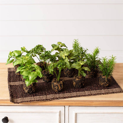 Herbs In Soil Unpotted Sold Separately