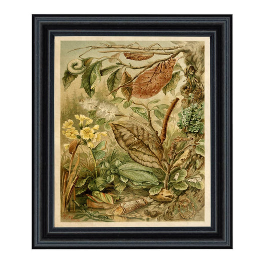 Mimicry Insects Cottagecore Framed Reproduction Print