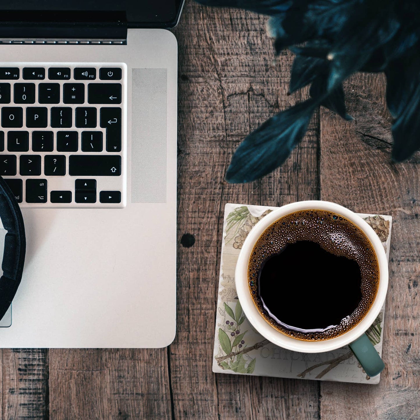 Chickadee Study Single Tumbled Tile Stone Coaster