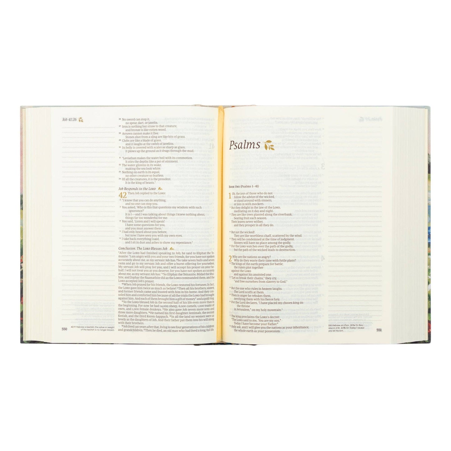 NLT Notetaking Bible: Coram Theme
