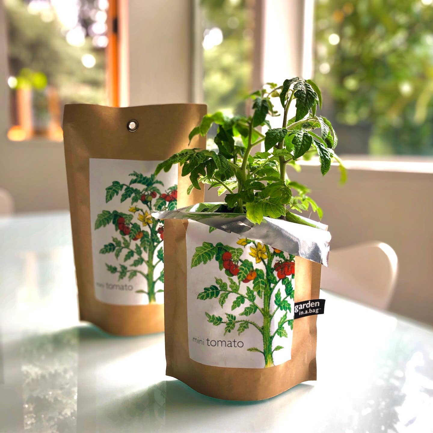 Garden in a Bag Tomato
