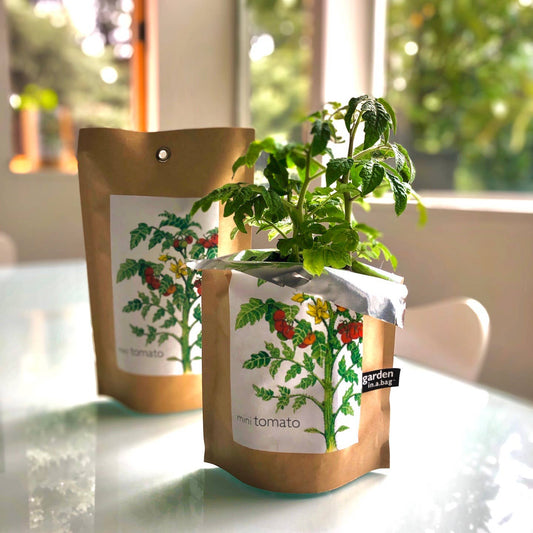 Garden in a Bag Tomato