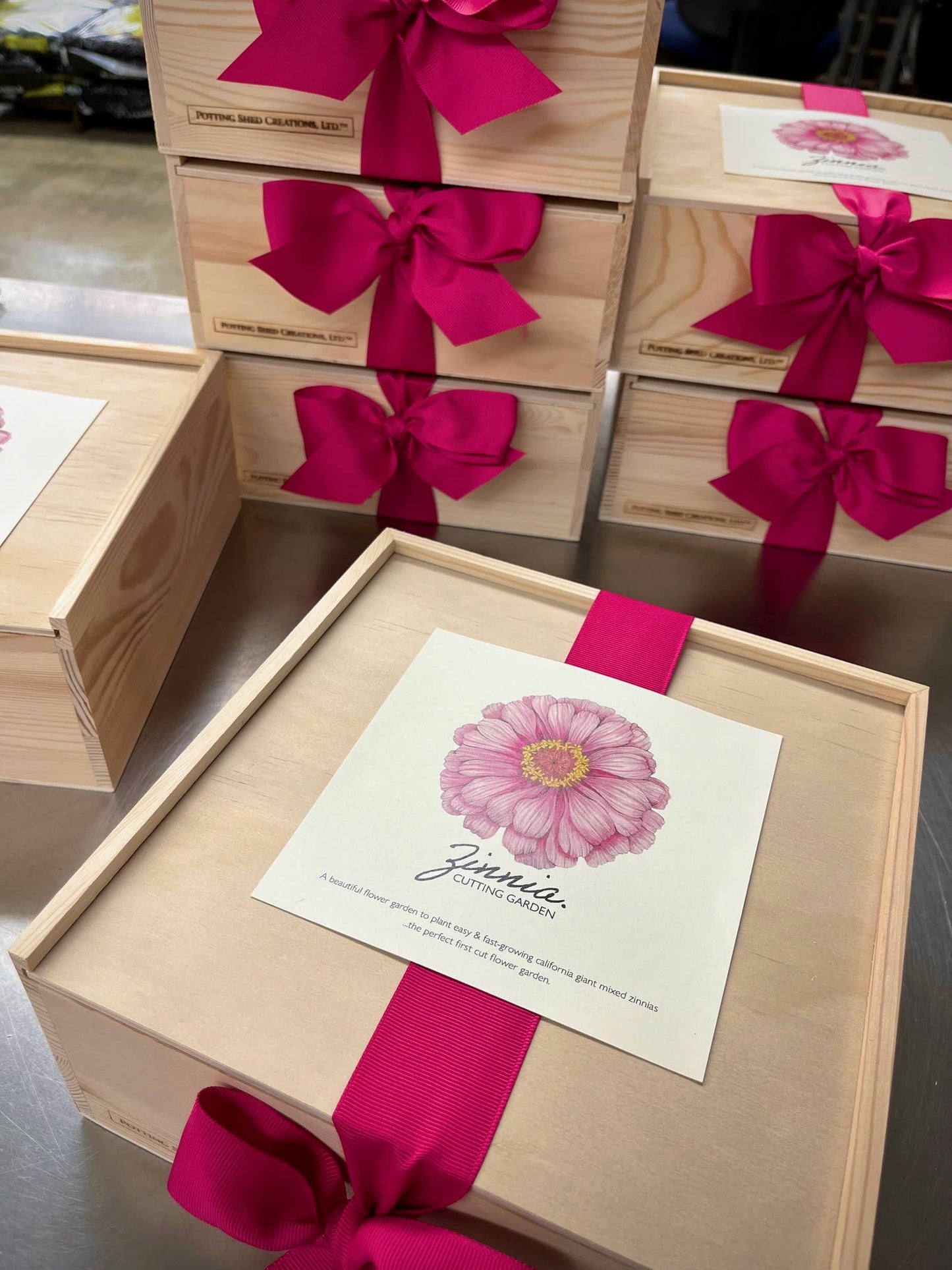 Flower Cutting Garden Box | Mixed Zinnia