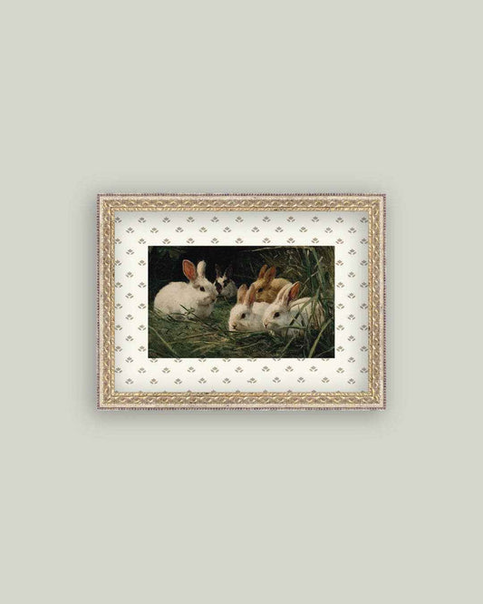 Bunnies in the Grass