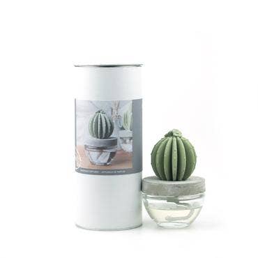 Barrel Cactus ceramic diffuser gift set