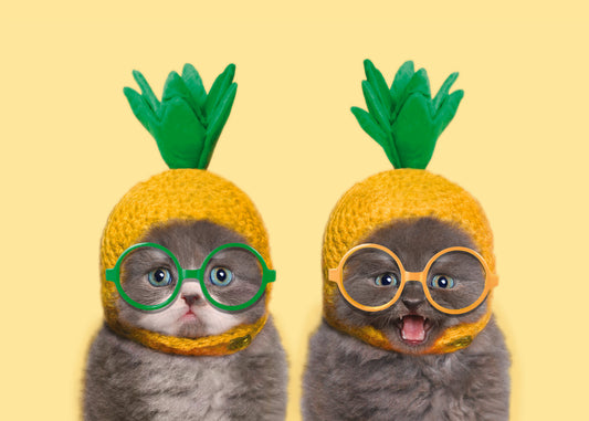 Cats Pineapple Hats and Glasses Greeting Card