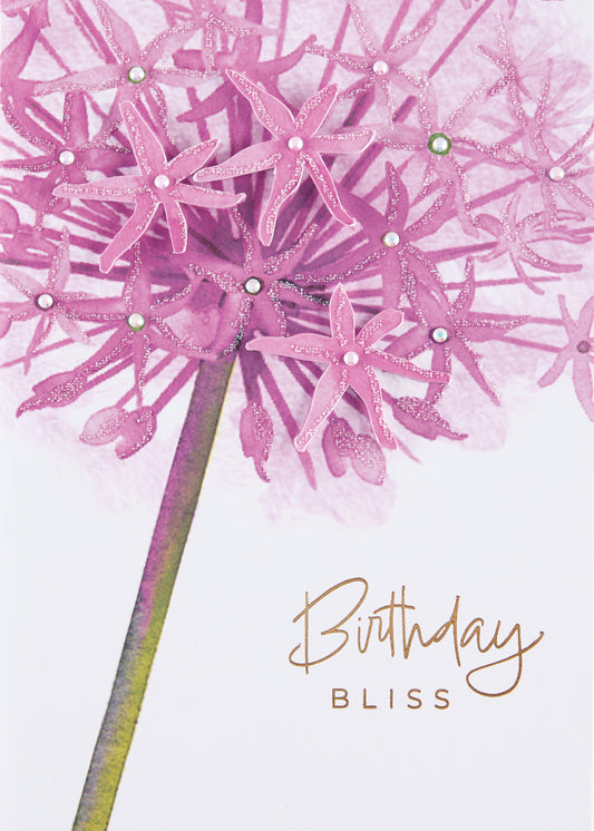 Allium Greeting Card