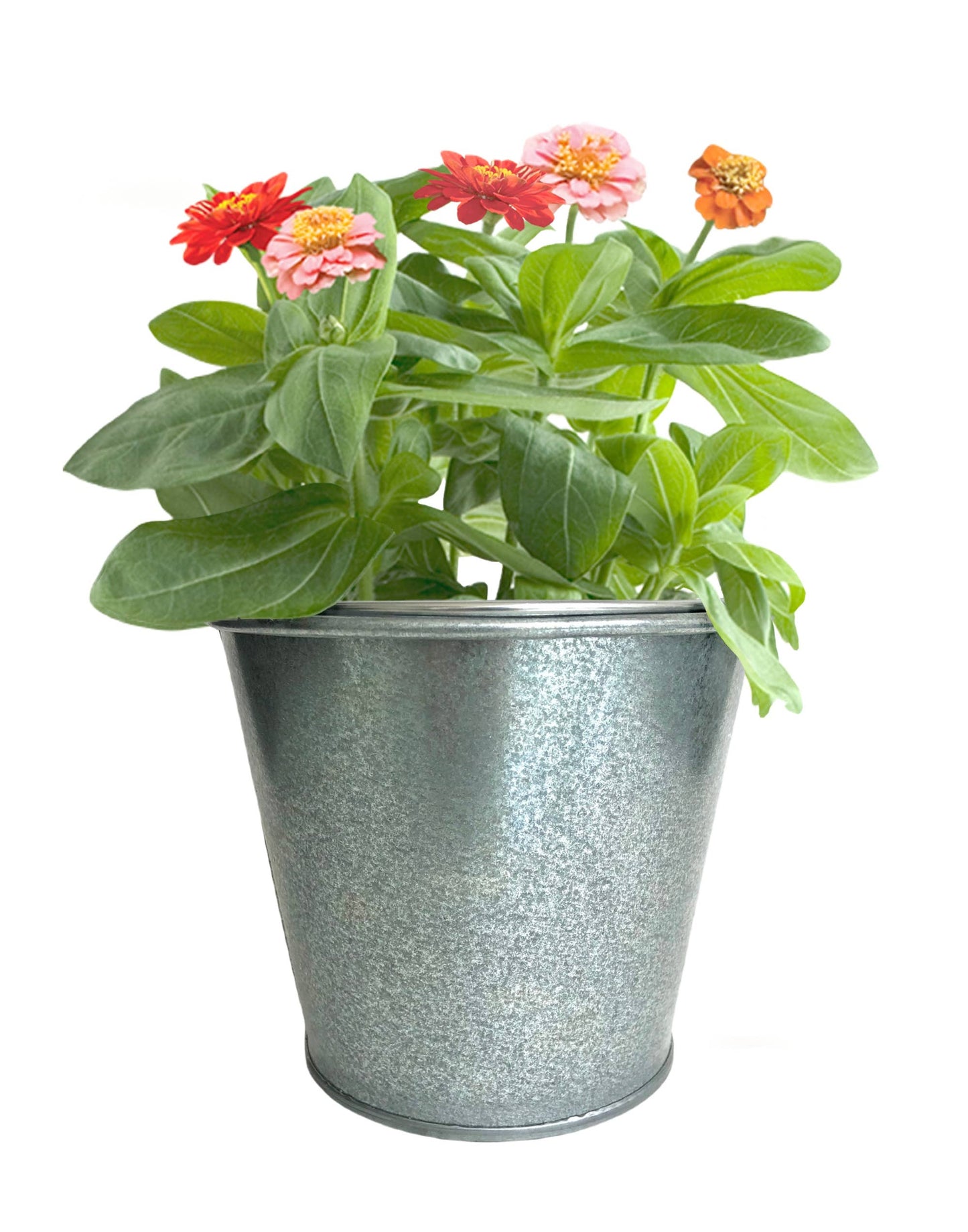 Garden in a Bag | It's a Girl | Baby Shower idea