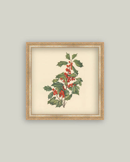 December Berry