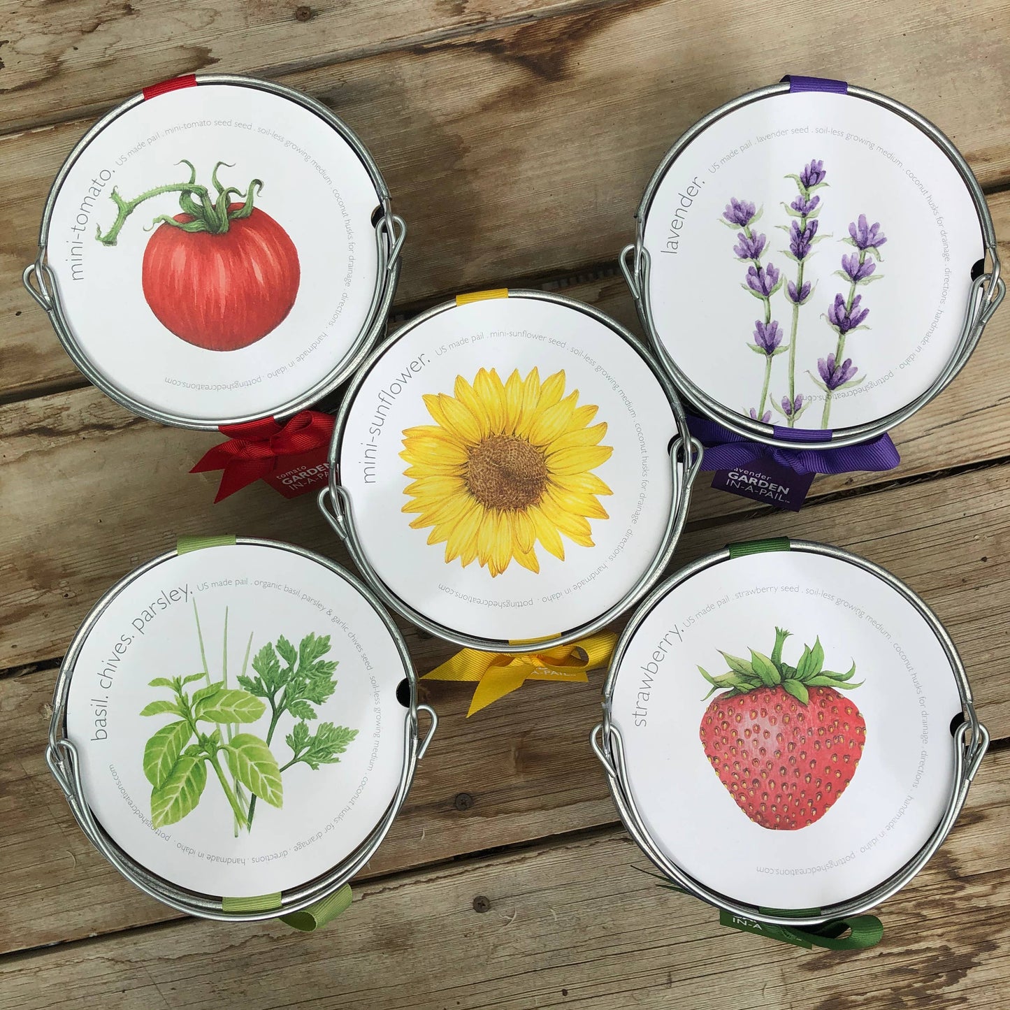 Garden in a Pail | Herbs |