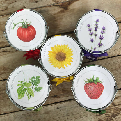 Garden in a Pail | Herbs |