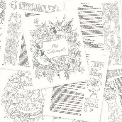 KJV My Creative Bible Faux Leather, Pink Floral Print