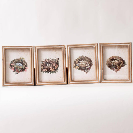Vintage Bird Nests Framed Print - sold separately