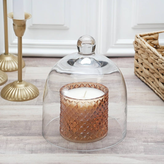 Bell Jar Glass Display Dome Cloche  6" x 7"