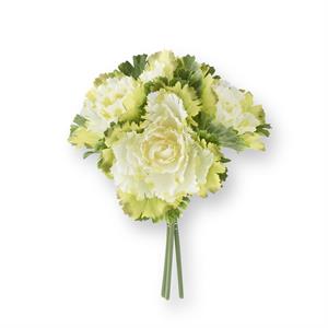 11.5 Inch Cream Cabbage Bundle