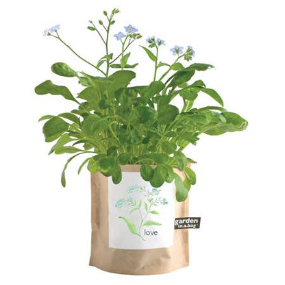 Garden in a Bag | Love - Forget Me Nots | Mother's Day