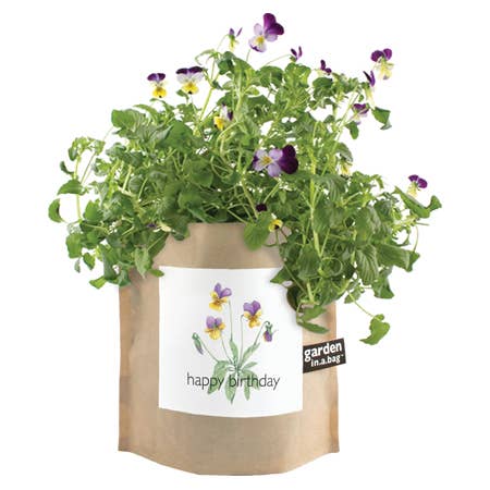 Garden in a Bag Happy Birthday