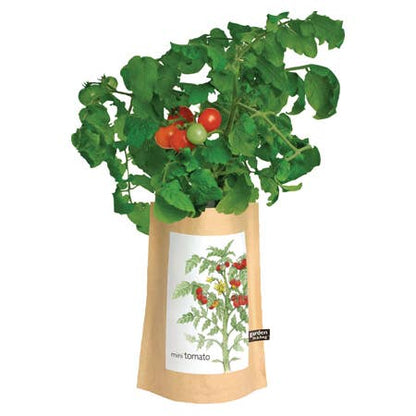 Garden in a Bag Tomato
