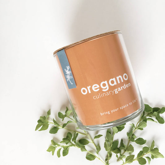 Essential Oregano Garden | Spring Herb Gift