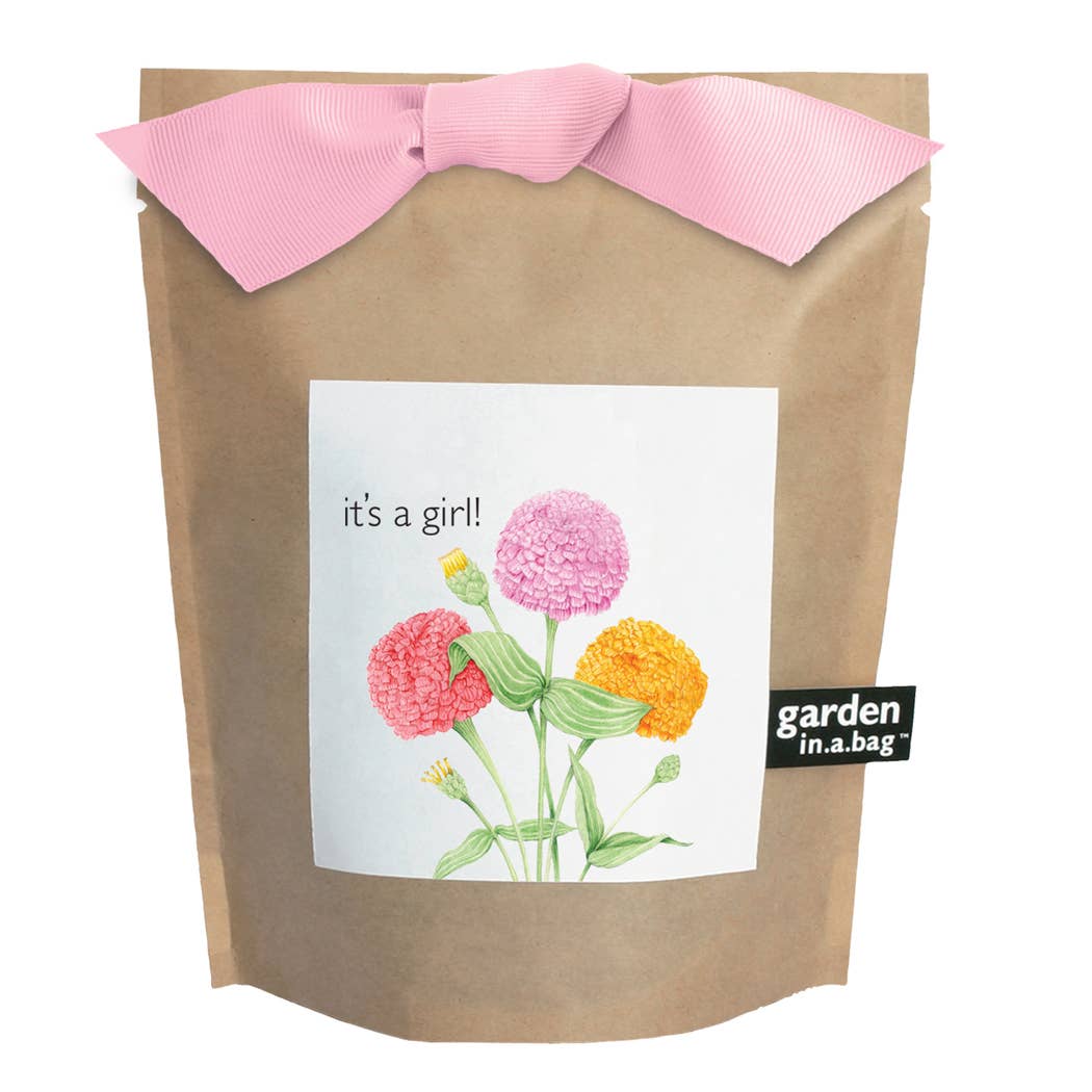 Garden in a Bag | It's a Girl | Baby Shower idea