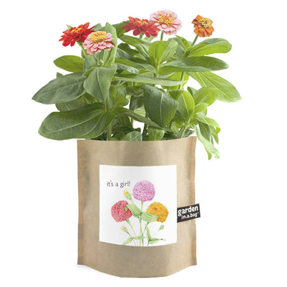 Garden in a Bag | It's a Girl | Baby Shower idea