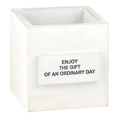 Nest Box Ordinary Day