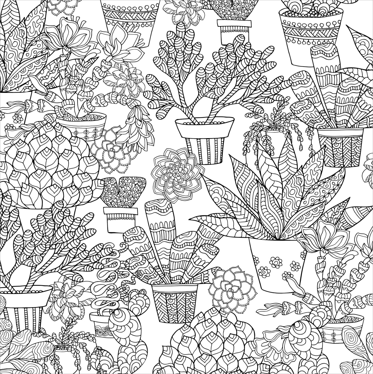 Libro para colorear de suculentas para adultos
