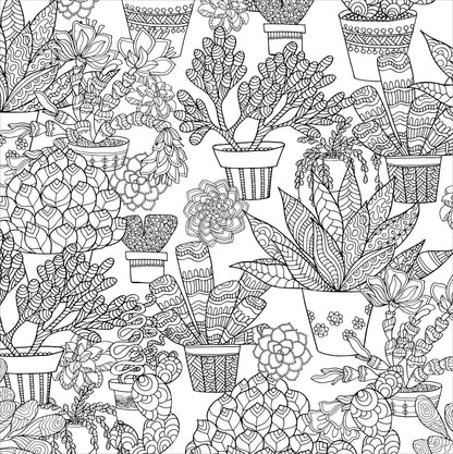 Libro para colorear de suculentas para adultos