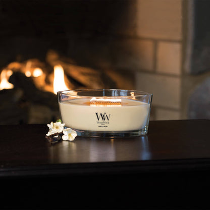 Vanilla Bean Scented Ellipse Candle, 16 oz
