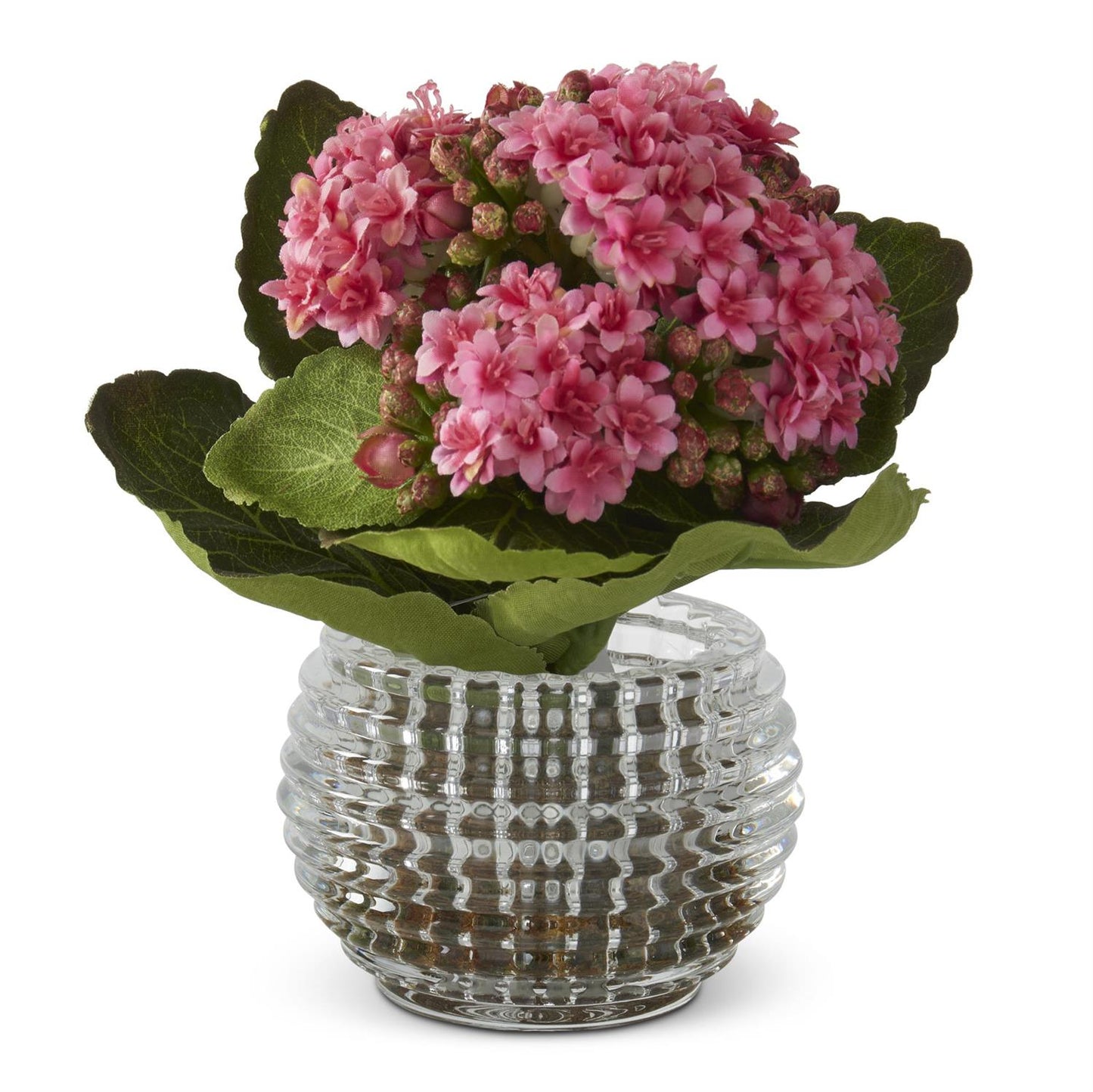 Pink Kalanchoe Premade in Pressed Glass Vase w/Faux Moss