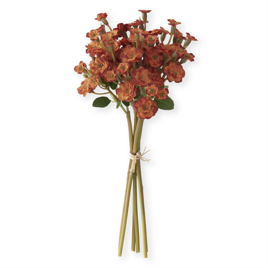 11 Inch Orange Primrose Bundle
