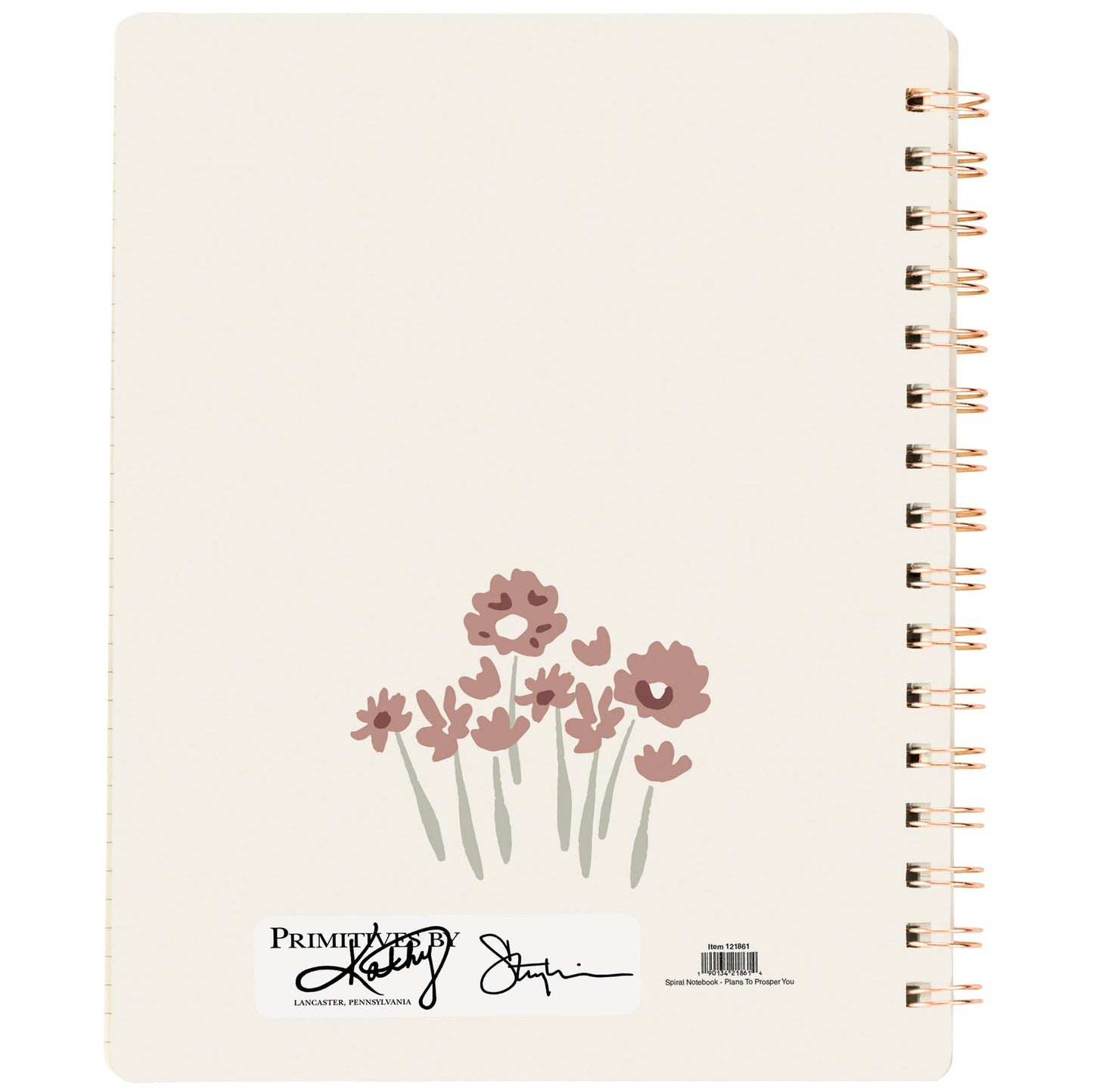 Plans To Prosper You Spiral Notebook
