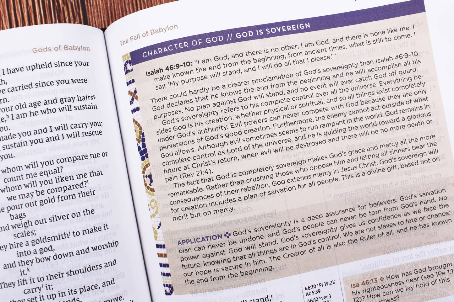 NIV Application Bible Leathersoft Red Letter Comfort Edition