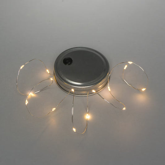 30"L Jar Lid with Warm White Micro LED Light String