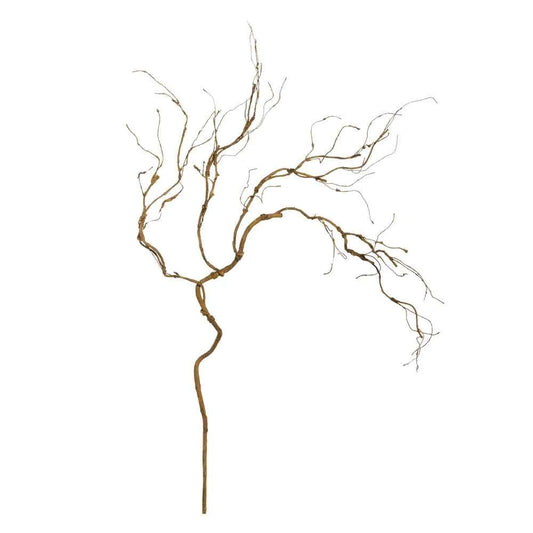 40" Curly Willow Branch