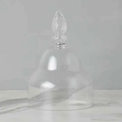 Glass Teardrop Cloche