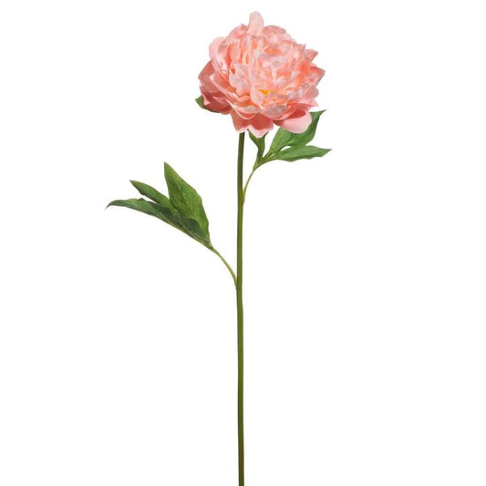 28" Lt Pink Single Peony Stem