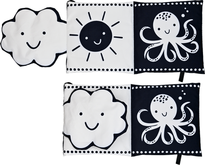 What Does Baby See? Soft Cloth Book
